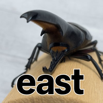 eastboy_ckm's profile picture. 少年時代に図鑑で憧れたヘラクレスオオカブトに再燃🔥 唯一無二の個体を目指し、大型♂♀の作出に挑戦中。 飼育記録メイン、たまにヤフオク出品してます🪲