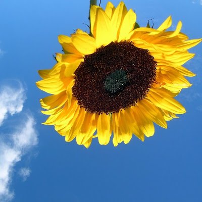 StephanieCH7325's profile picture. 