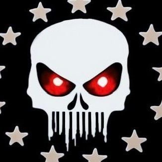 *Backup Account, Digital Operator • Creator • Intelligence Researcher • 2A 1776 • Truth is the most effective weapon in a war of information filled with lies.