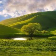 sahooajaya165's profile picture. how are you