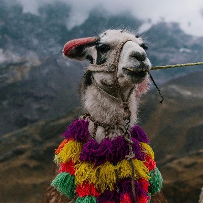 genn_yyy's profile picture. 