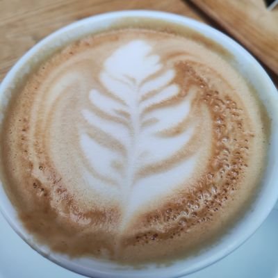 Postdoctoral researcher focusing on LatAm investigative journalism. Not active on social media - here just to follow and learn.
