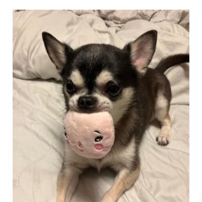 maro20170302's profile picture. 