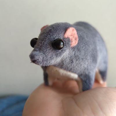 lemonmelon32's profile picture. 疑問質問ドラえもん（古っ）