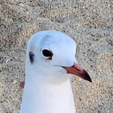 ユリカモ⁉️さんのプロフィール画像
