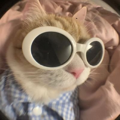 g_tdpw's profile picture. 