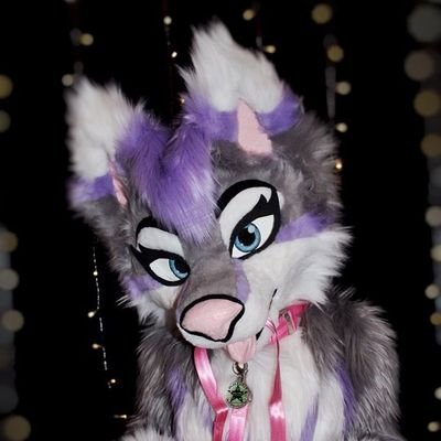 Just a floof enjoying life 🐺✨|23|Fursuiter|Chill, friendly & always up for new friends 💙|Part of the pack here for the fun & the fluff🐾💫