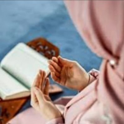 BegumFathi75069's profile picture. memes and news