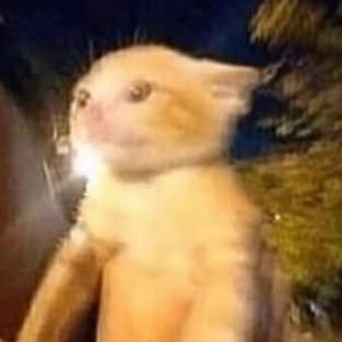 puks785878's profile picture. M25 DM'S ARE ALWAYS OPEN TO EVERYONE
BUT NOT FOR SELLERS OR SCAMS