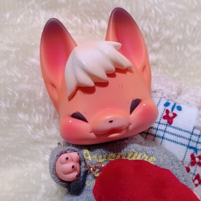 アカウント分けました🌼ドール、ぷにみお、cocoriang/No.835 パシュリー/ちいさいお洋服もつくる/縫い物🧵編み物🧶/無言フォロ-失礼します/F &Bご自由に