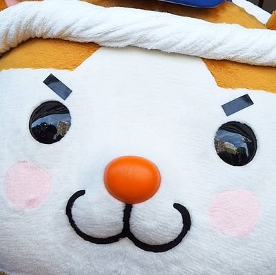 スターマンとかBAEKHYUNとかEXOとかJUNHOとか