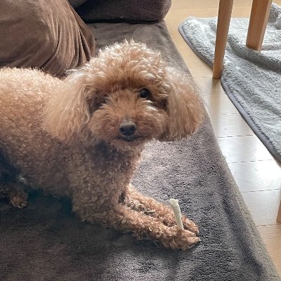 YMbFWUE6r828949's profile picture. 株式スイング＆デイトレ投資用情報収集アカウント
長い物には巻かれるコバンザメ投資が信条