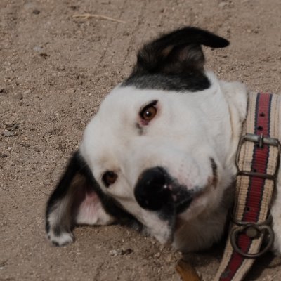 niyazi_kemer's profile picture. hopeless neg entropy extractor (little bit hope actually)