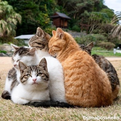 masanoji1201's profile picture. 