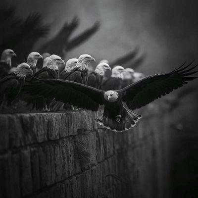 ManLikeGadaffi's profile picture. ⚽ Football & Nature ☘️ Lover || Meaningful Connections || Investor || DM for Business 💼.