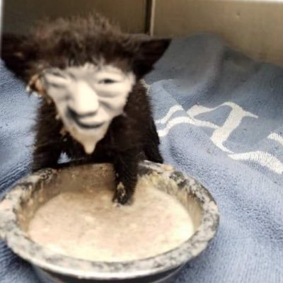 支え合おうじゃないか。共に、楽しく、平和に。 無言フォロー失礼します🙏 フォロバ100です。251→@saikoro_mania
