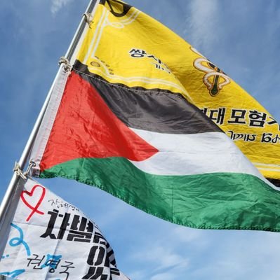 무지개동지🏳️🌈 하모니카동지🎵 마법소녀노동조합 조합원🪄 독사부대모험가연합 기수(임시)🚩
