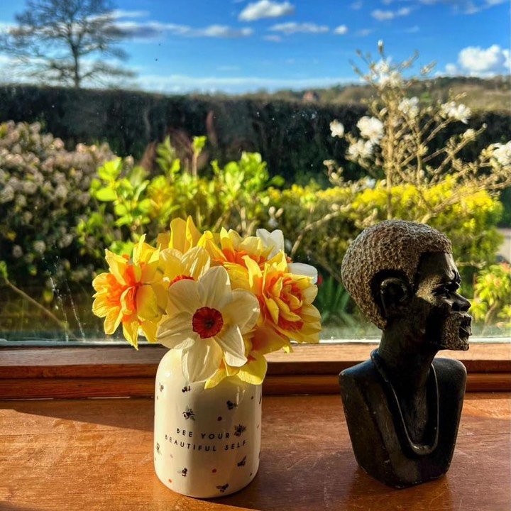 te2lhb40229's profile picture. Appels urgents uniquement