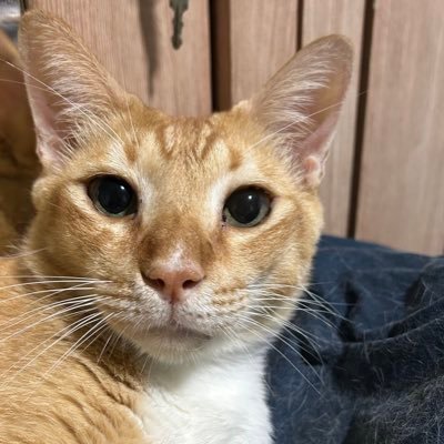 sasrinotsari's profile picture. photography , periodontist. Jakarta - Cimahi