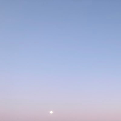 nitamago_pro's profile picture. /*IT業界の片隅にいるENTP♀_like:K-POP, ニトキラ, FPS, 酒*/