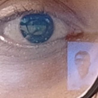 me__ilia's profile picture. 𓃬