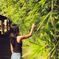 chii_🫶🍀 lf moots (@aceelucky) 's Twitter Profile