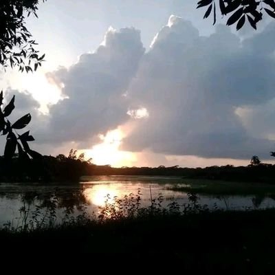AdekomiMui99692's profile picture. 