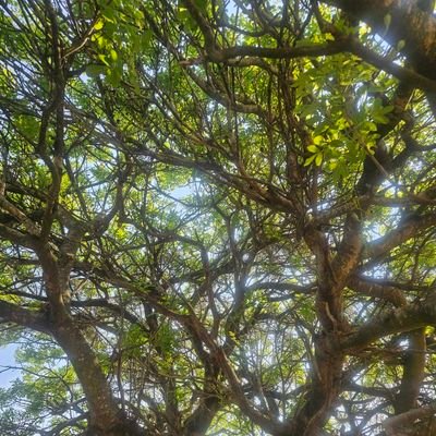 iamalex_95's profile picture. 