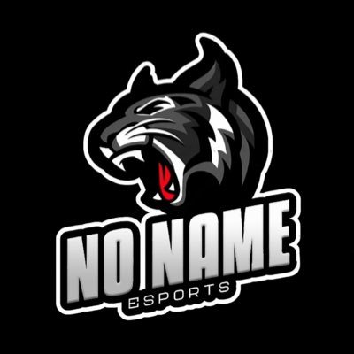 @NoNameEsportsgg