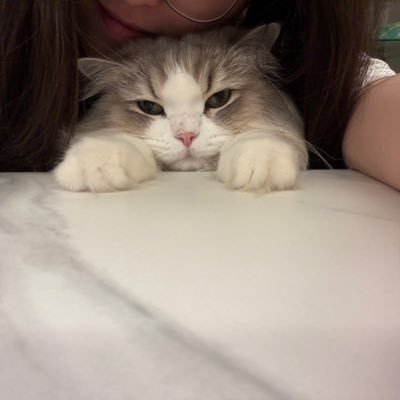 olliewng's profile picture. 