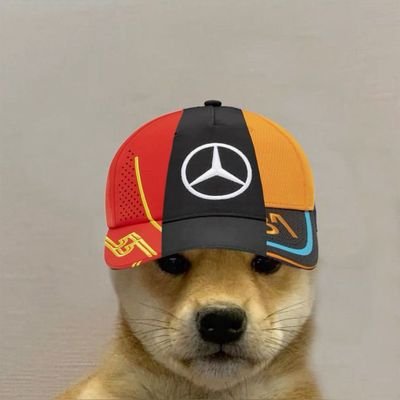 pandascantpvp's profile picture. landos fav fanboy ☆
sometimes insane and uncensored on the tl ☆
LN4 + LH44