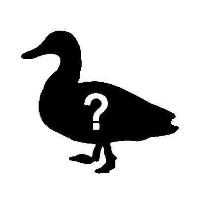 ajax_express's profile picture. Football (@visselkobe) & Waterfowls🦆🪿🦢