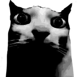 french and tunisian -
nsfw and basic dni -
sometimes i follow back -
priv:@priv_noma