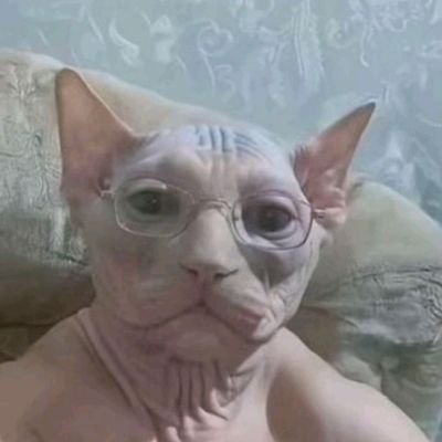 keinerweisdigg1's profile picture. ich bins einfach
