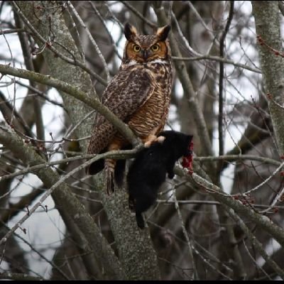 vectorspacexyz's profile picture. if you want anything done right, do it yourself ...or at least be involved.