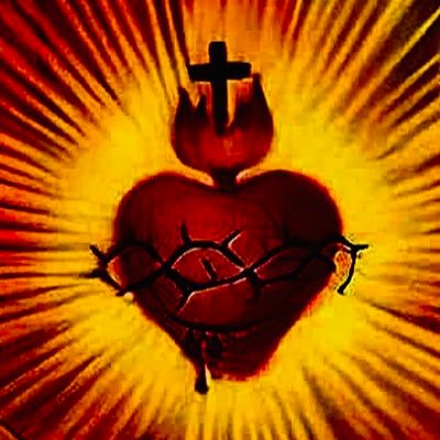 ⚜️We spread Catholic and counter-revolutionary ideas. ✝️« I am the way, the truth and the life. No one comes to the Father but through me. » 🗣️🇪🇸🇫🇷🇬🇧