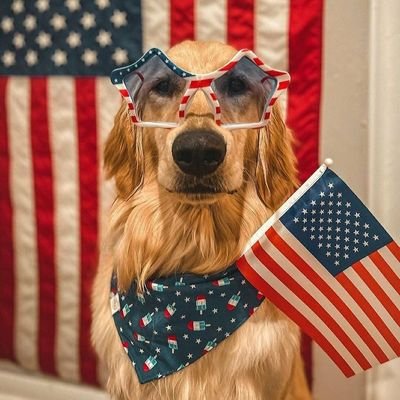 geezabigdave's profile picture. Always seek the truth ✨ | Cat 🐱 & Dogfather 🐶 | PATRIOT 🌟 JESUS IS KING 👑 | No DMs 🚫