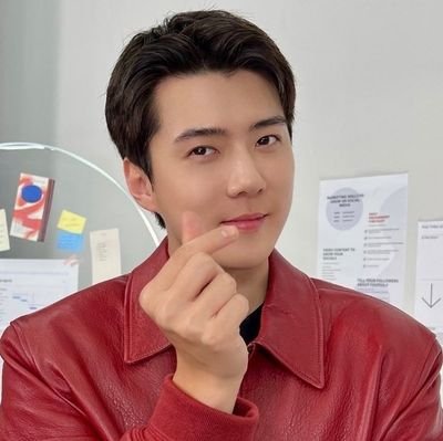 French EXO-L ~ Xunqi || Aℓℓ for ΞX0 ⁹ @weareoneEXO & #SEHUN since 2012