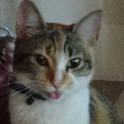 Mabelll1995's profile picture. Paraguaya orgullosa