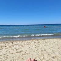 Linksrutscher 💚 🏳️‍🌈 (@linksrutscher) 's Twitter Profile Photo