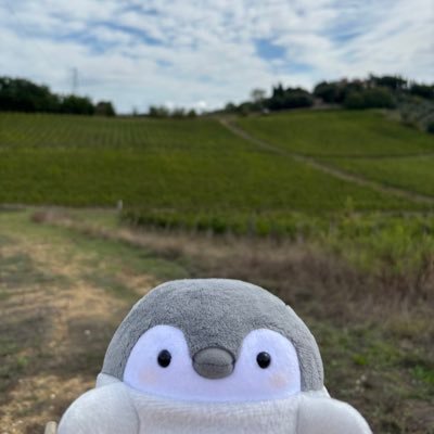 koupen_vino's profile picture. ふんす‼️
