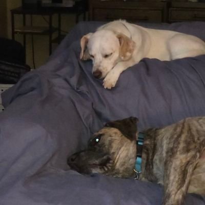 RandallMccoskey's profile picture. RETIRED ARMY NATIONAL GUARD. 8 YRS ACTIVE, 12 YRS NAT. GUARD