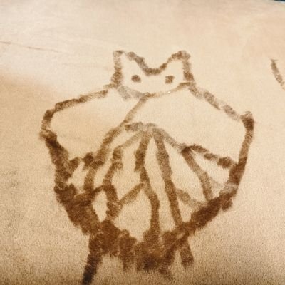 あっくーまさんのプロフィール画像