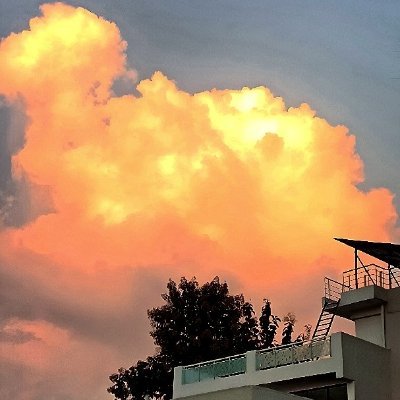Mit1124_'s profile picture. 🦥 🎧 :)