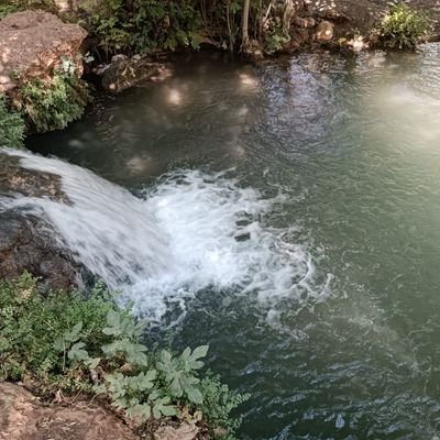 Gkhanzcan196821's profile picture. 