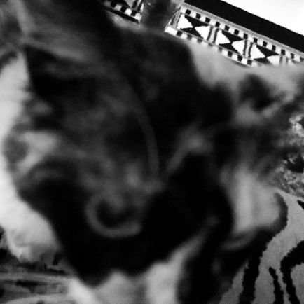 dancouuuu's profile picture. 