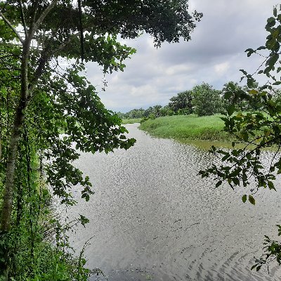 RitomChakrabor2's profile picture. I'm a learner. Want to discover many things. Cyclist. Music lover.