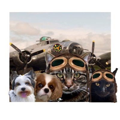 🐱🐱🐱🌈🐰🧸 Colonel in #ZSHQ #ZZST on a Saturday. Members of #TheRuffRiderz #TheAviators #tweetchoir #keepfits #MogYog #XPSHQ #OTLFP Hugs 🤗 & kindness