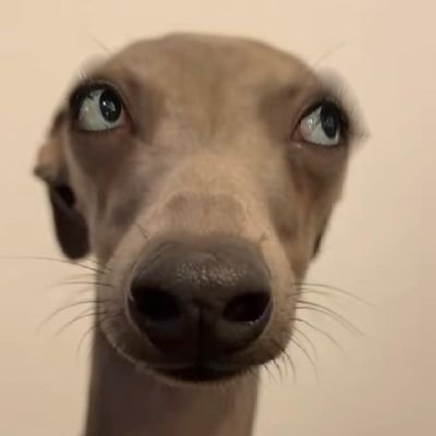 Alejand44312791's profile picture. Pff