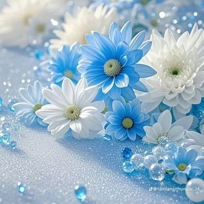 VitaZolotova's profile picture. 